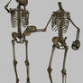 Skeleton - Head Trade 4- JPG
