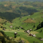my miniature sirnea by buhu