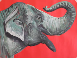 Green Elephant