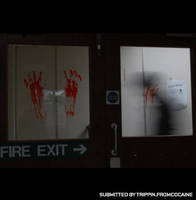 bloody handprints