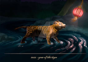 2022 year of the Black Water Tiger