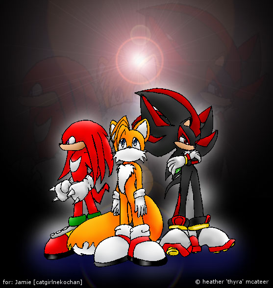 Knuckles - Tails - Shadow