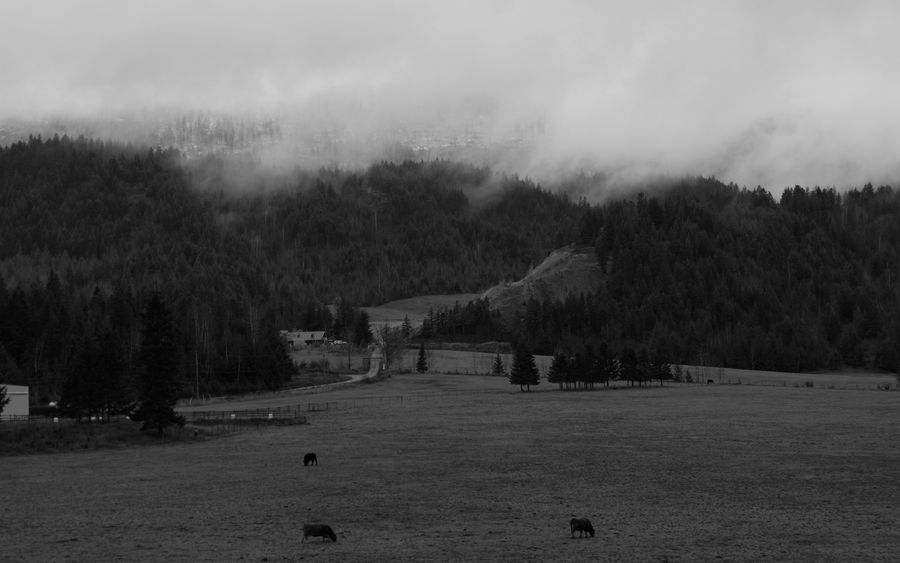 Turtle Valley by ReadingDesigns on DeviantArt