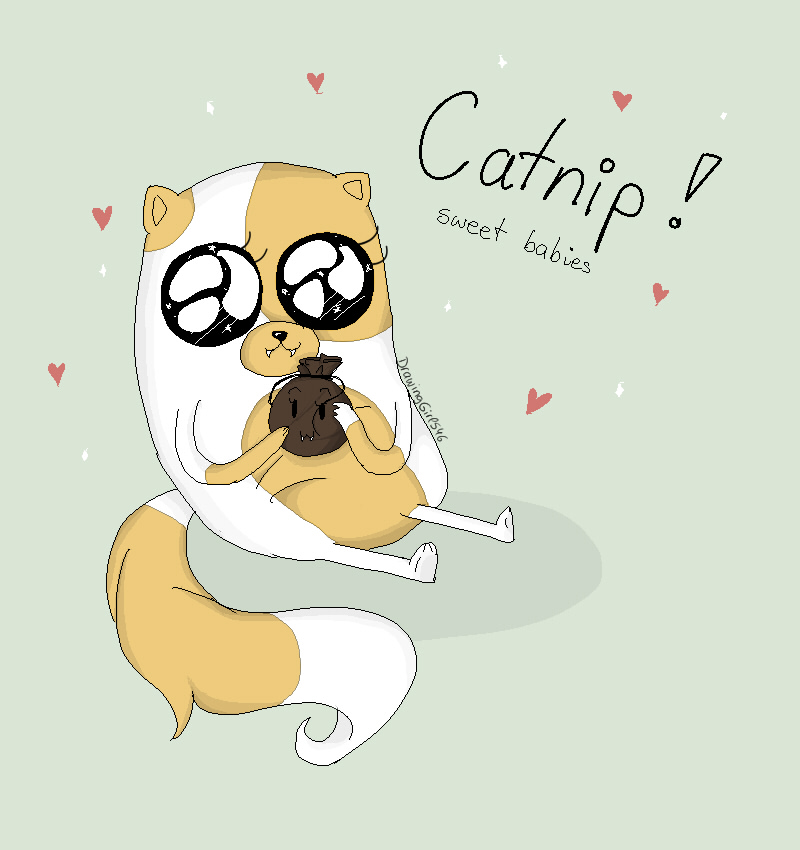 Catnip!