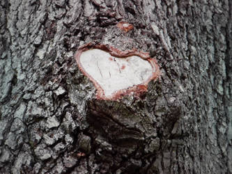 I HEART YOU Tree