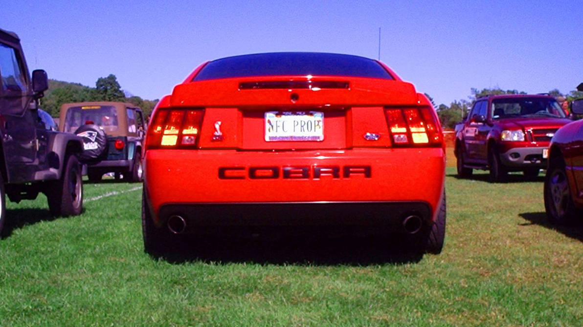 03 Cobra Rear View 1 by Midnighthorsemen on DeviantArt