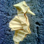 Origami - Hippocampus