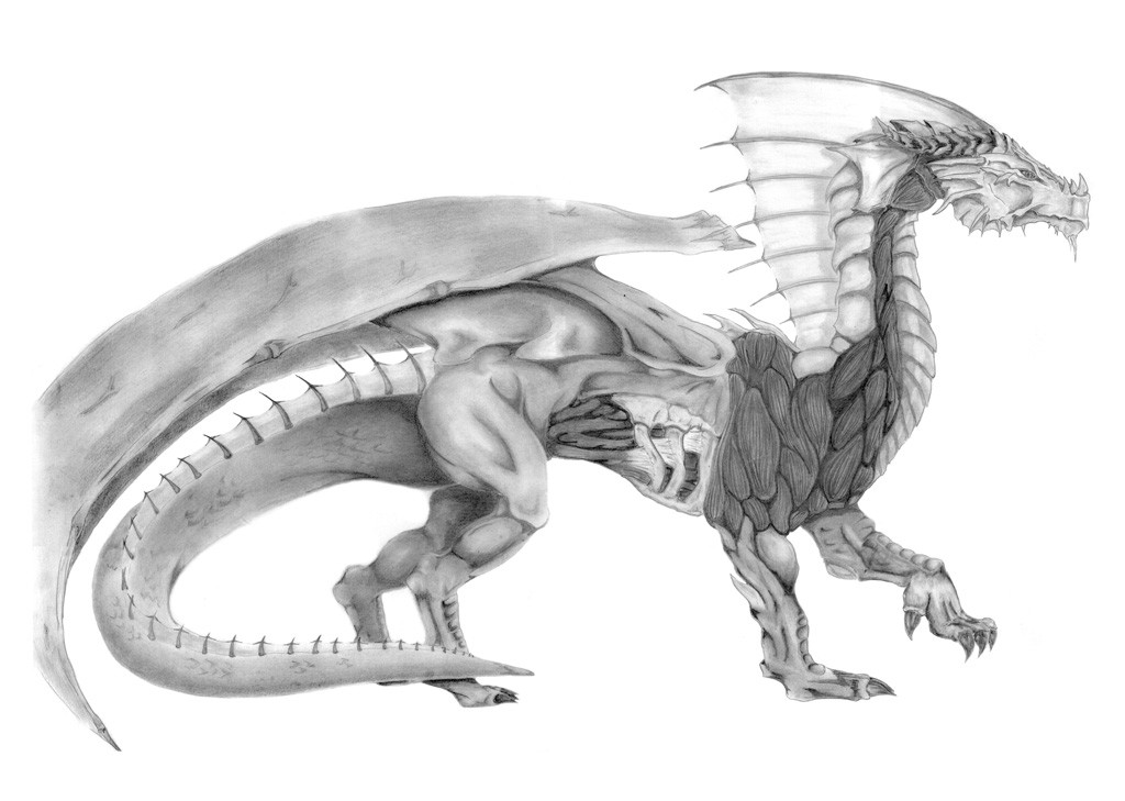 Flesh Dragon