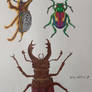 Beetles 01