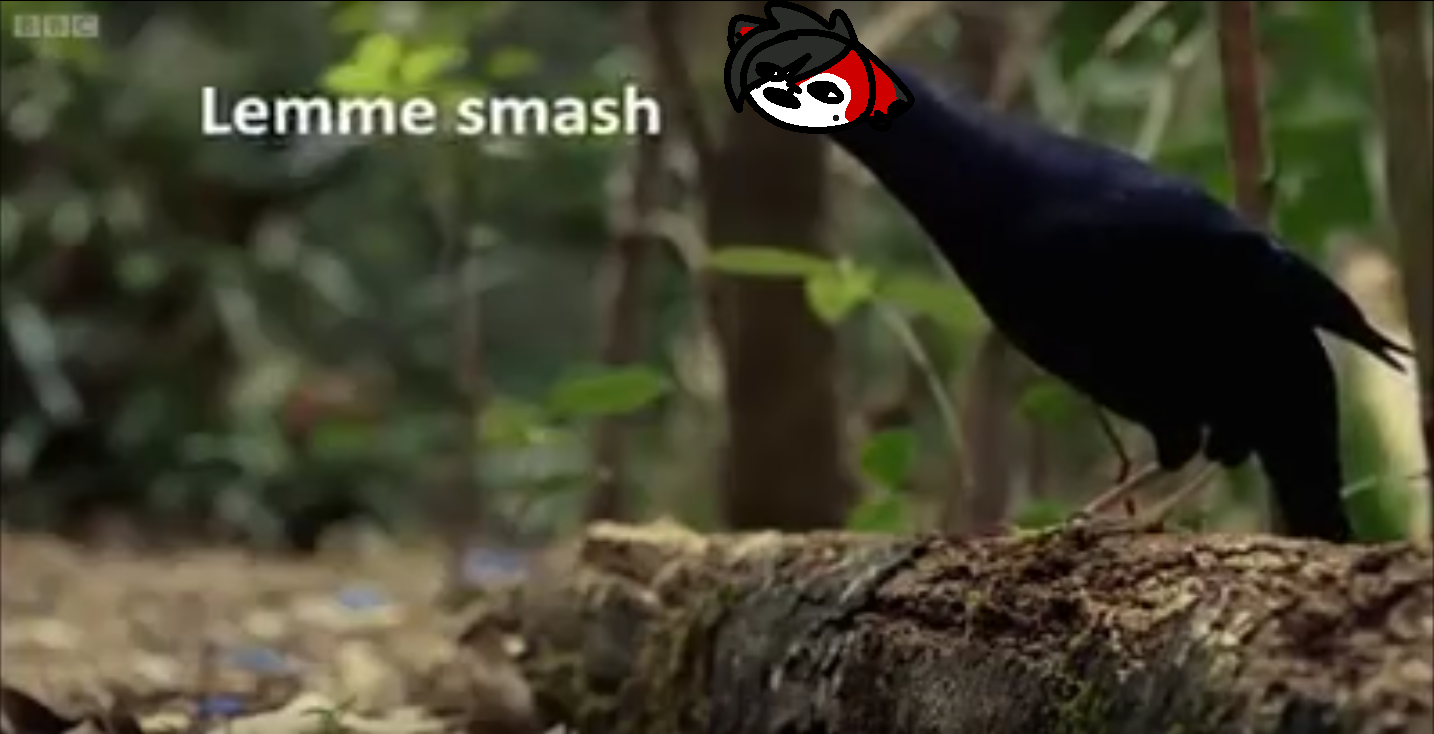 Lemme Smash