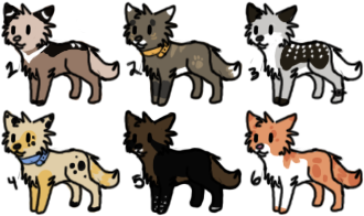 Canine Auction -CLOSED-