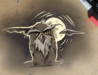 Sketch Owl4