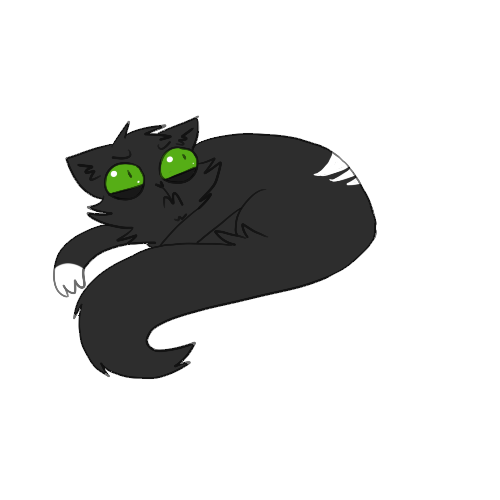 RAV ENNNN??????PAWW WW pawra veen?? ravenpaw roov