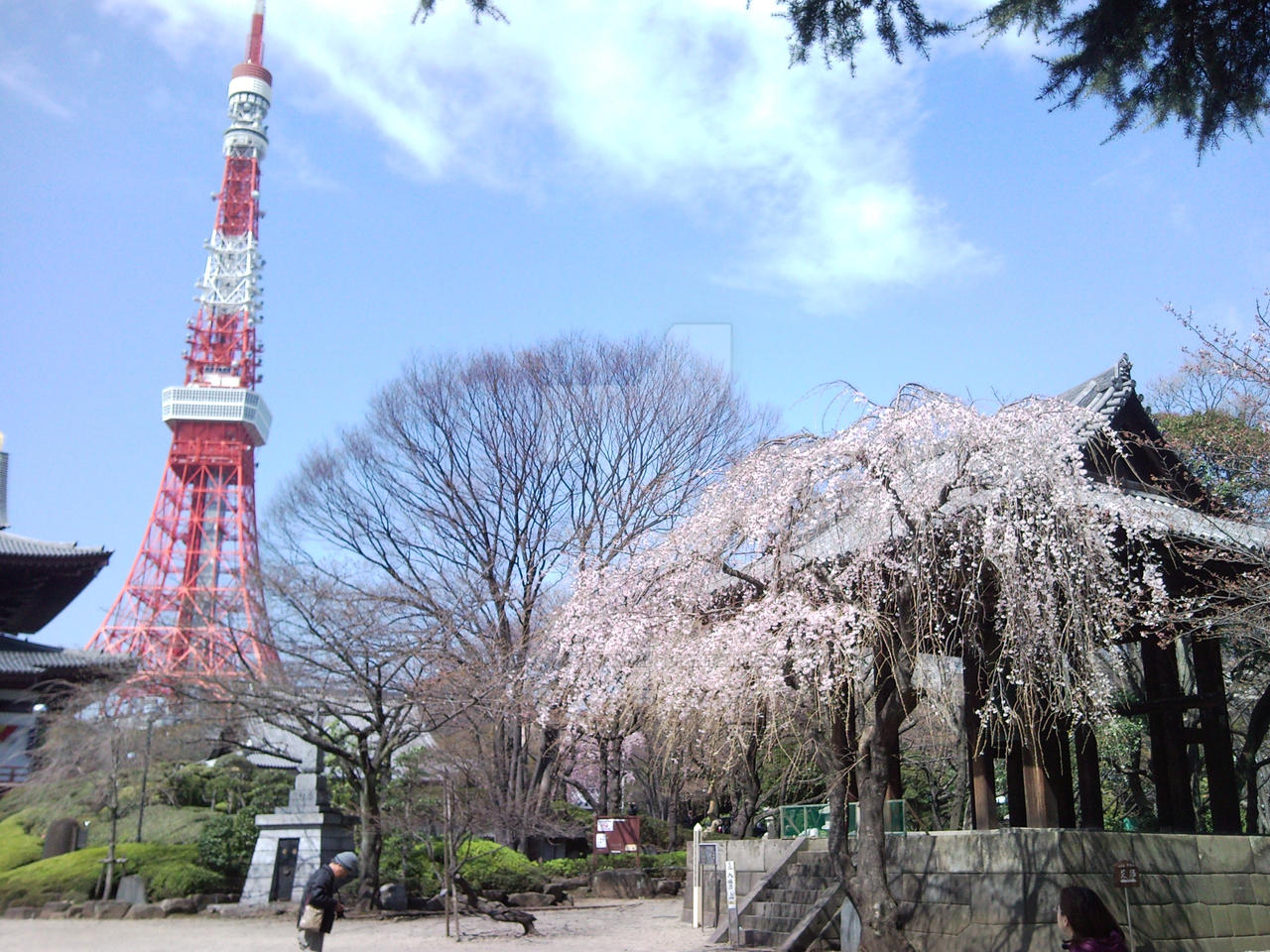 Tokyo Tower from Zoujou-ji