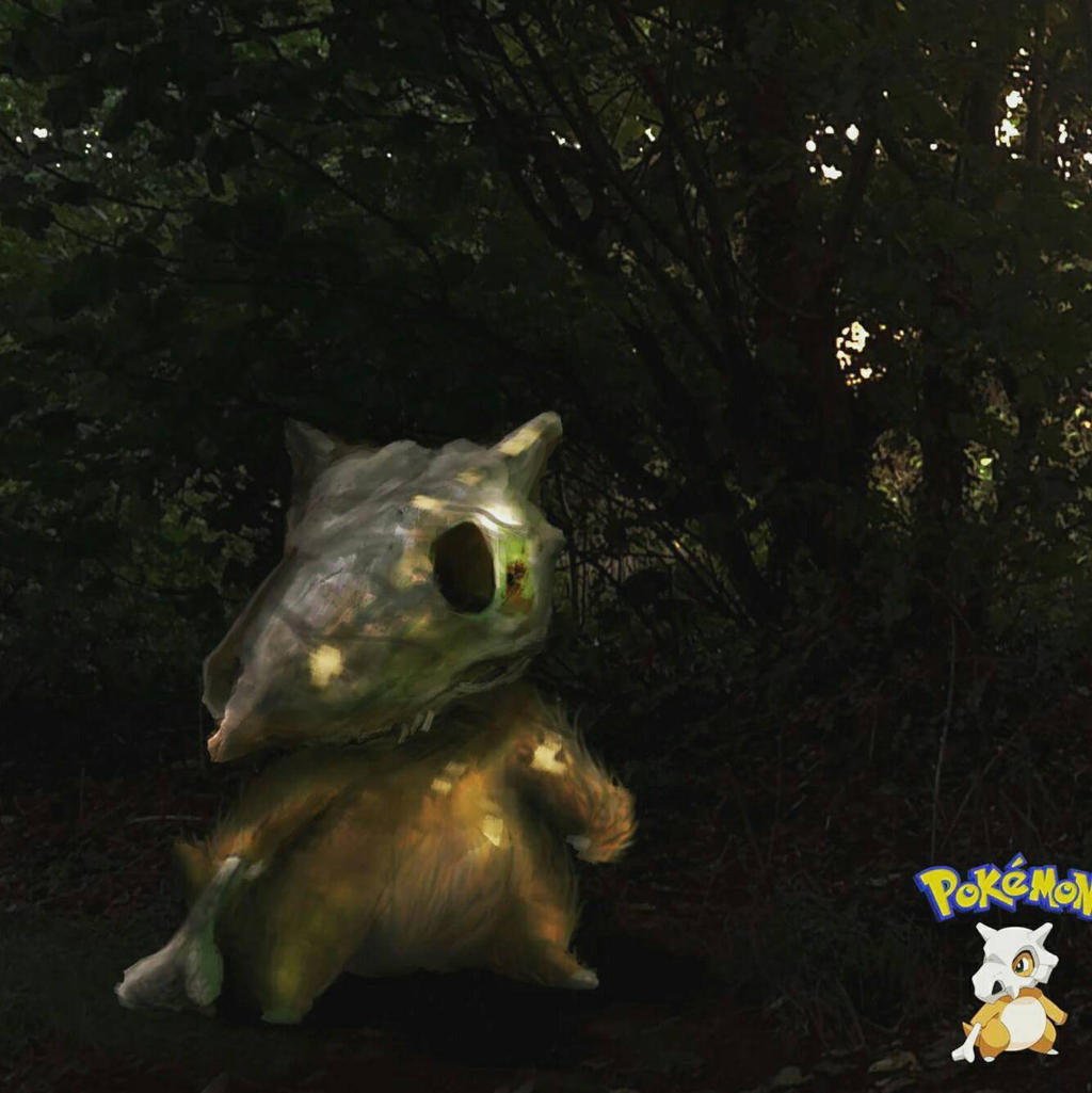 Pokemon Reeal pokemon real life by AlexJohanson89 on DeviantArt