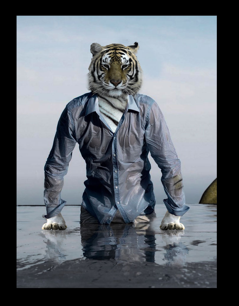 The Tiger Man