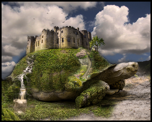 Castle Turtle