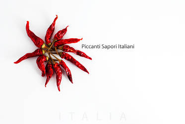 Piccanti Sapori Italiani