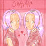 Sakura and Sakura