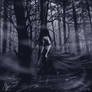 dark wood
