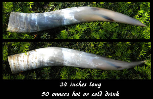 L Blond Drinking Horn FOR SALE