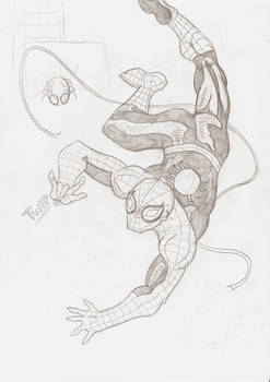 The Superior Spider-man