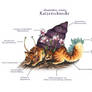 Anatomie einer Katzen Schnecke(German Word stuffy)