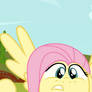 Fluttershy Seen That Wallpaper