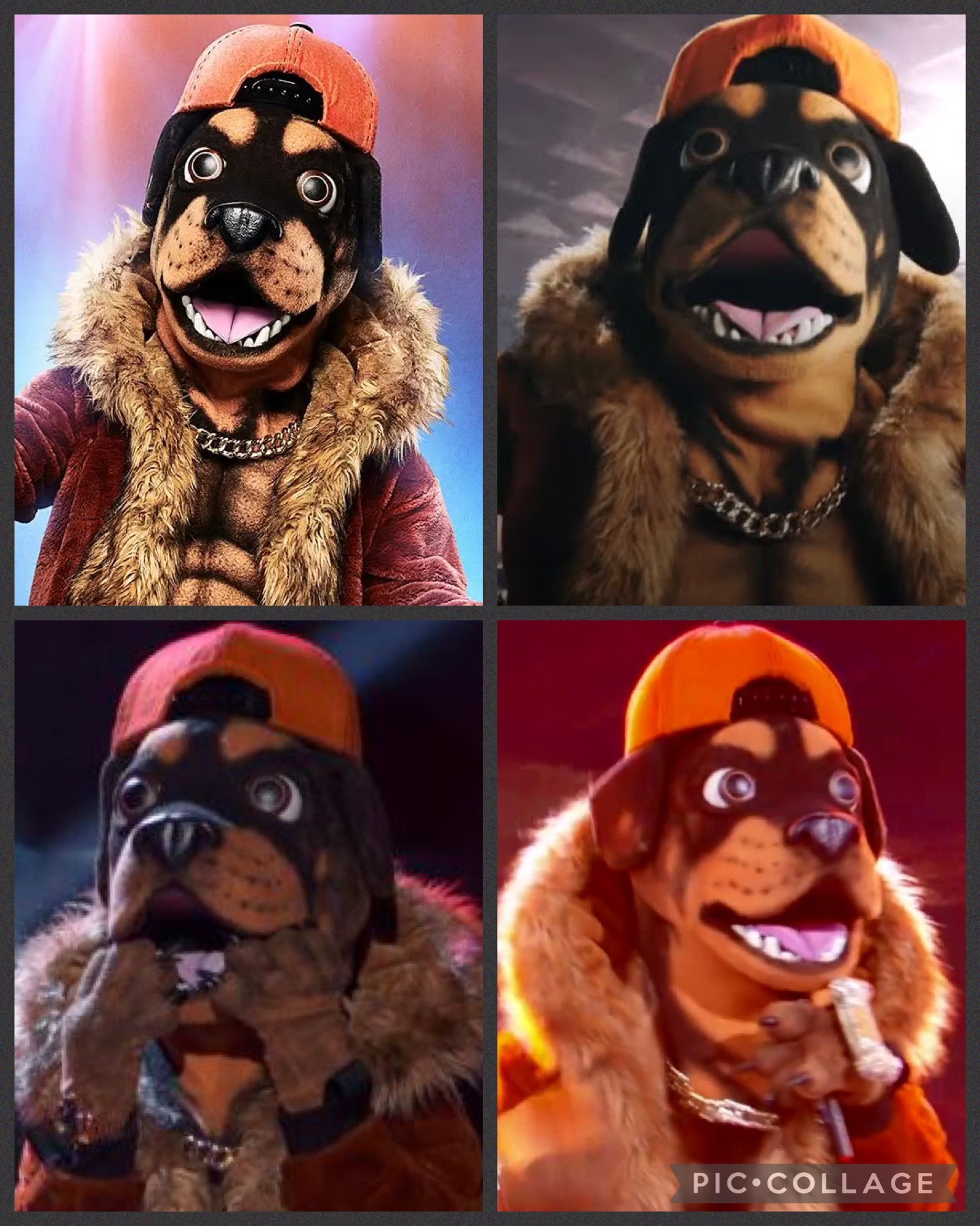 Rottweiler (Collage) by NatashaTheJackal on DeviantArt