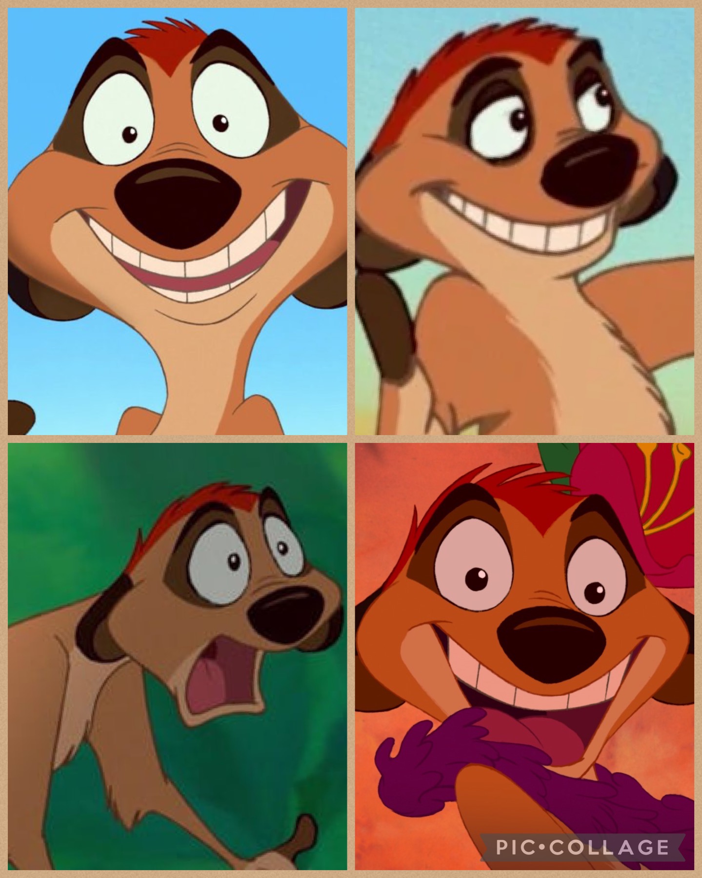 Timon Very Nice Timon (Collage) by NatashaTheJackal on DeviantArt