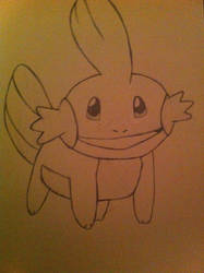 Mudkip