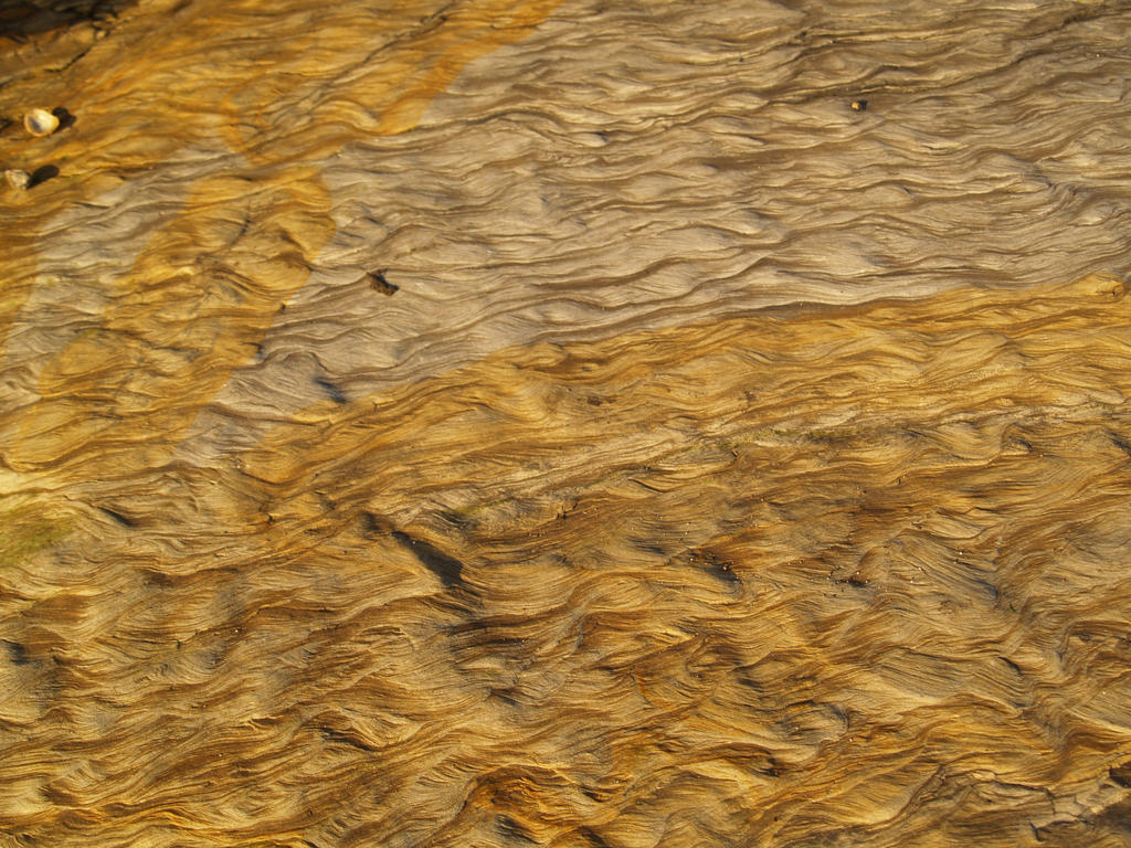 Texture 1 by Amy-the-Faerie on DeviantArt