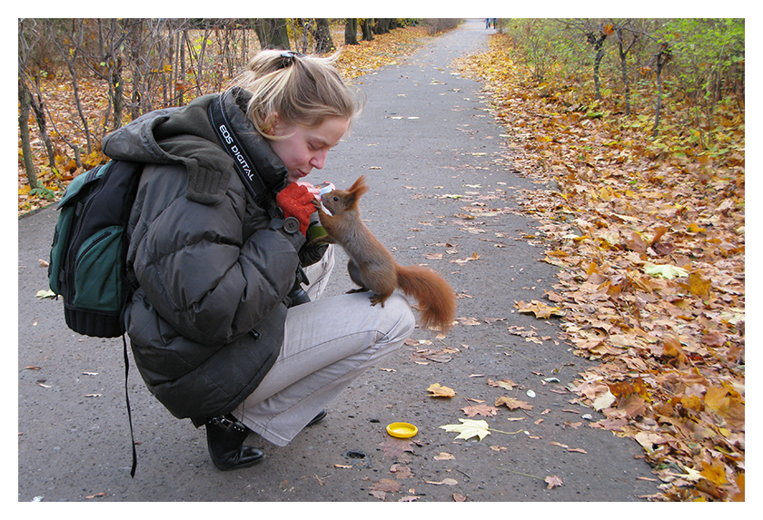 Squirrel Whisperer II