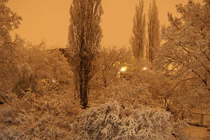 my window view right now 2