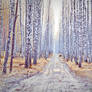 Birch forest 2