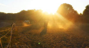 Where dreams are made