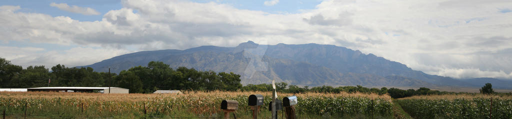 corn fields below the mountain