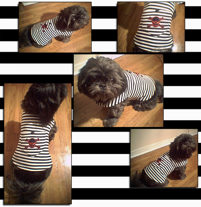 Pirate Striped Dog Vest