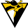 First Custom PITTSBURGH PENGUINS LOGO