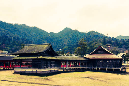 Low Tide Temple