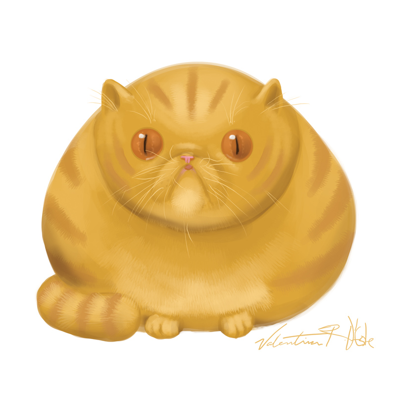 The Fat Cat