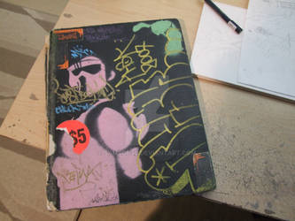 SAGEs community blackbook