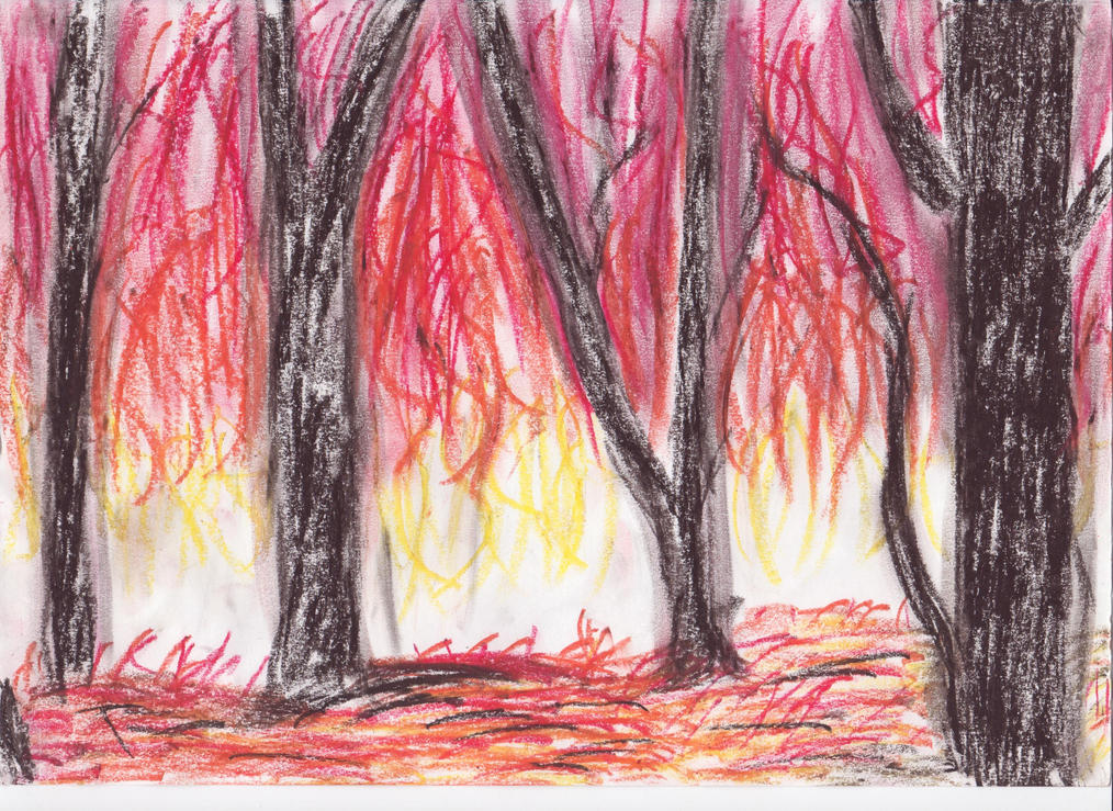 Fires in the Forest by SmileMandalore on DeviantArt