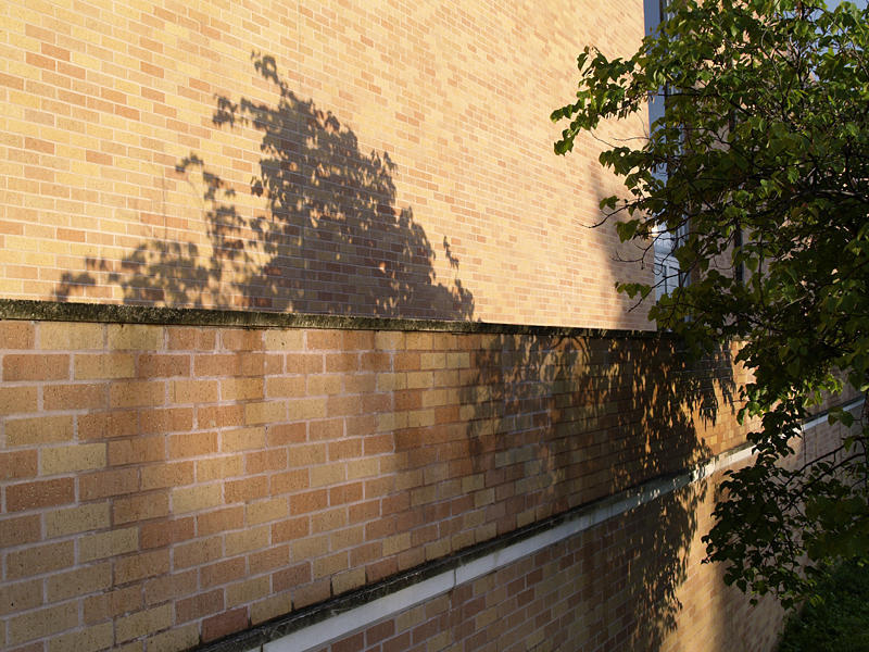 Split Shadow by footwhoops on DeviantArt