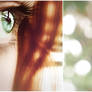- RedBird -