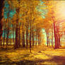The World Is Outside