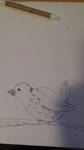 Bird sketch by Thiago2000nl