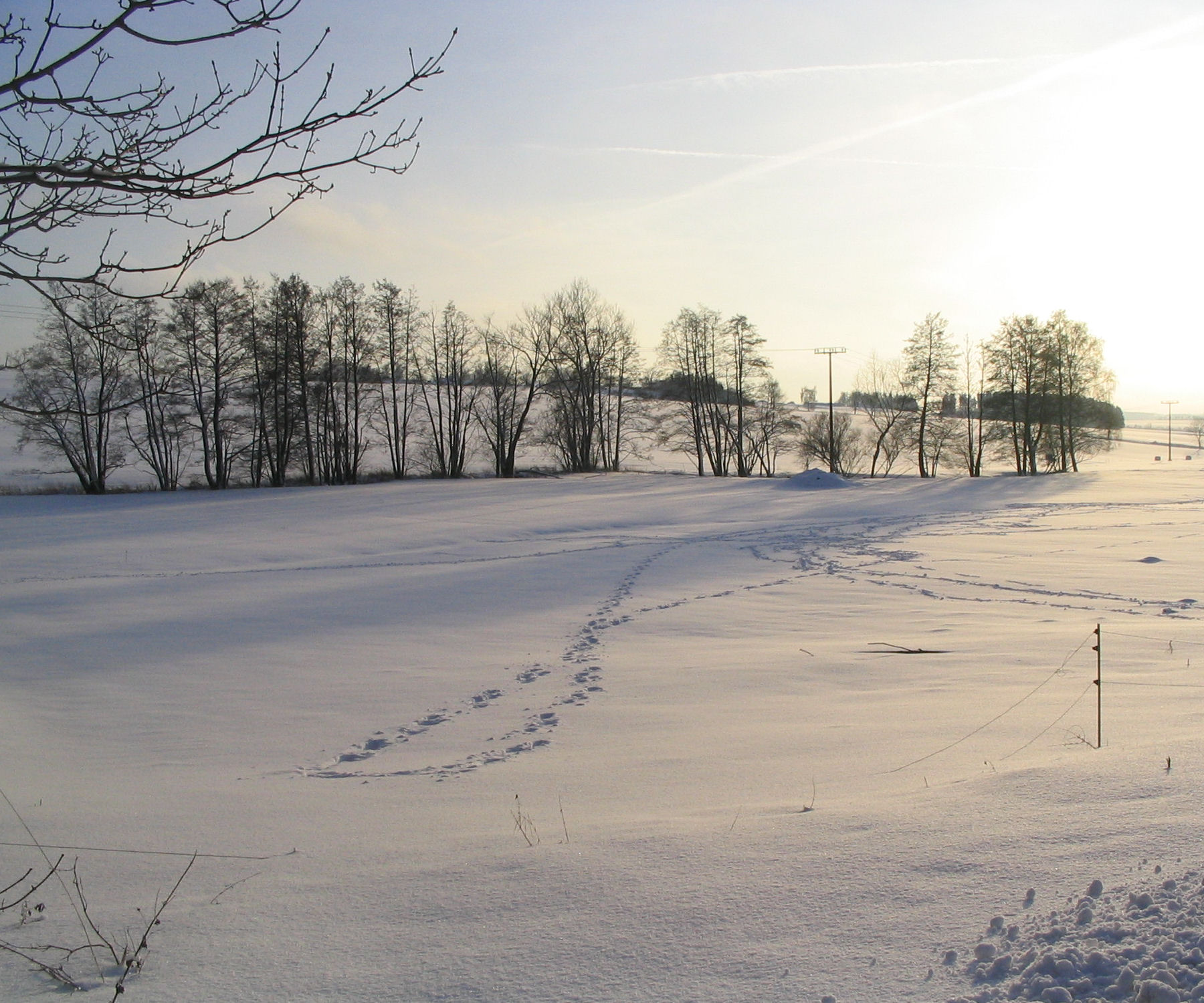 Winterscape 08