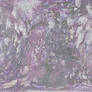 misc. 37