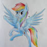 rainbow dash